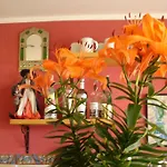 El Hidalgo Calpe