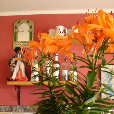 伊达尔戈酒店 卡尔佩