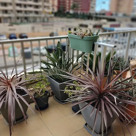 El Hidalgo Guest house Calpe