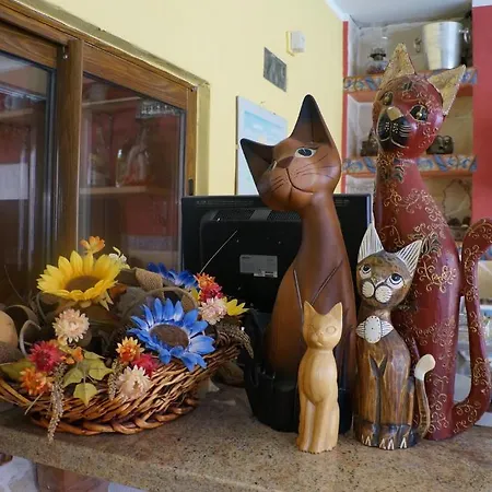 El Hidalgo Pensionat